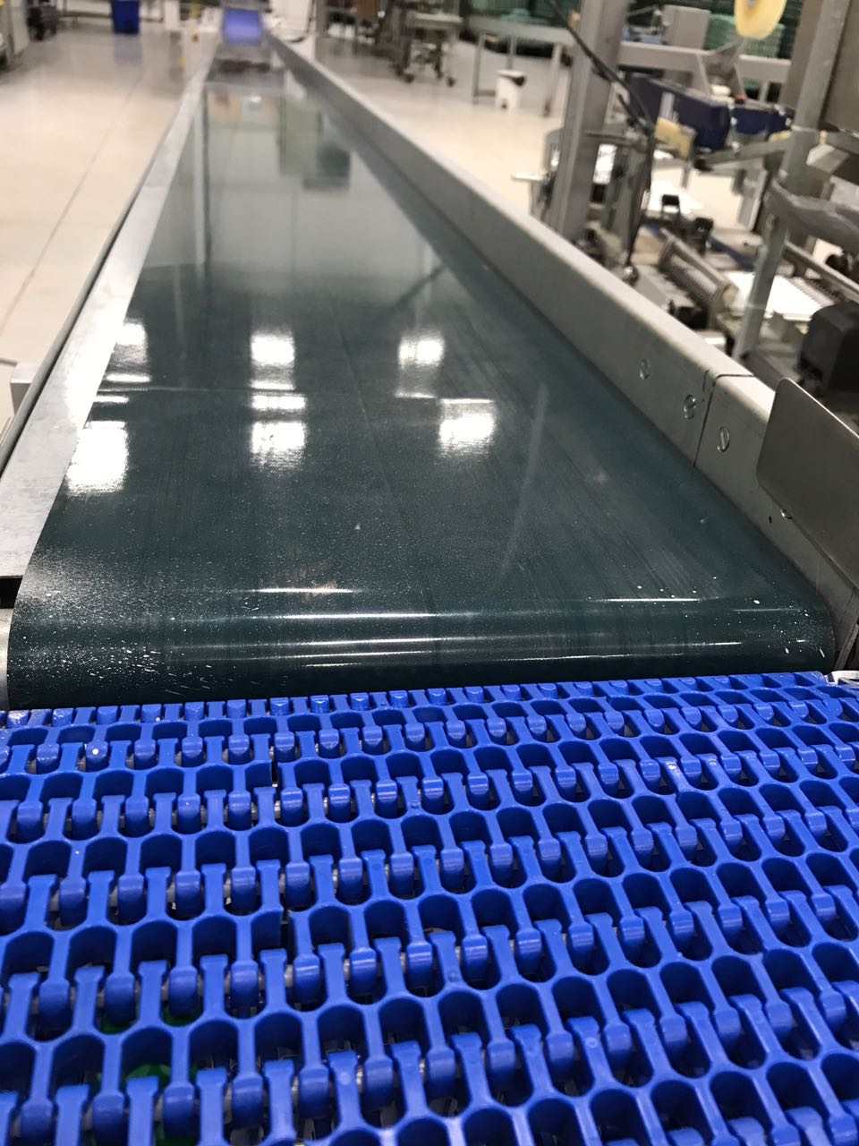 Correia transportadora em PVC e esteira modular instaladas em linha de produção